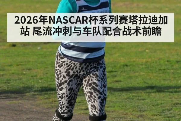 2026年NASCAR杯系列赛塔拉迪加站 尾流冲刺与车队配合战术前瞻