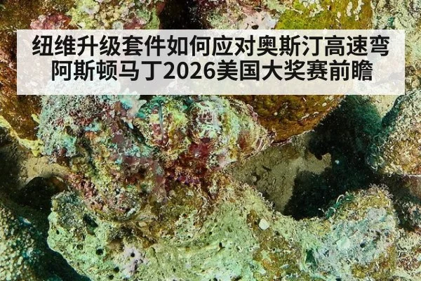 纽维升级套件如何应对奥斯汀高速弯 阿斯顿马丁2026美国大奖赛前瞻